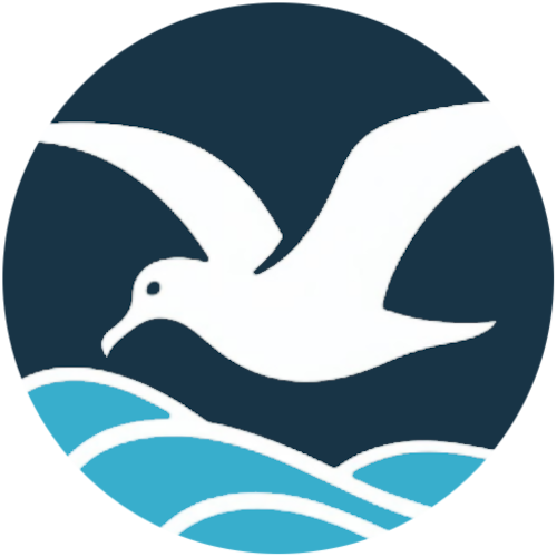 Soar Logo